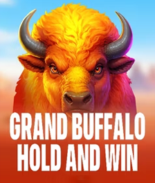 Grand Buffalo Hold and Win